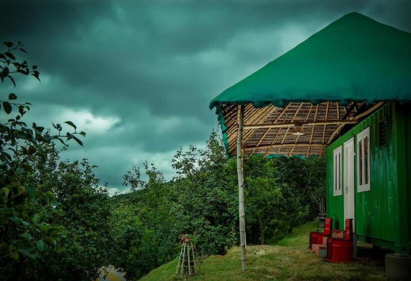 اتاق استاندارد با چشم‌انداز کوهستان, The Pear County