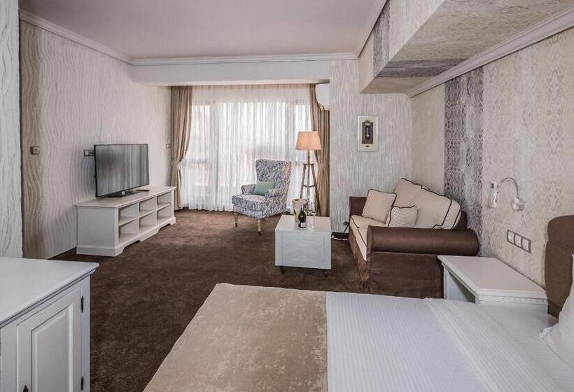 펜트하우스 스위트, 8 1/2 Art Guest House