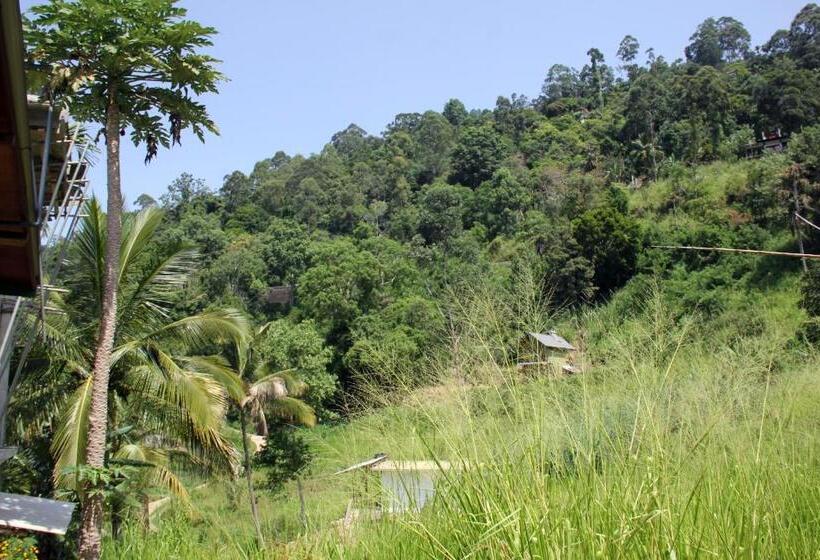 스탠다드 룸 산 전망, Cascade Vally