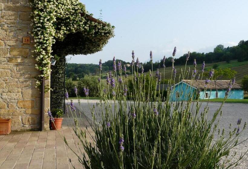 חדר סטודיו סטנדרד, Podere Del Fagiano