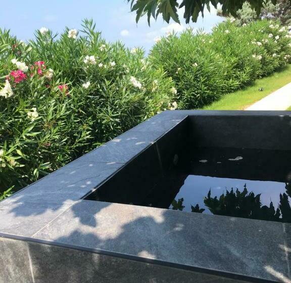 Suite with Pool, Minera