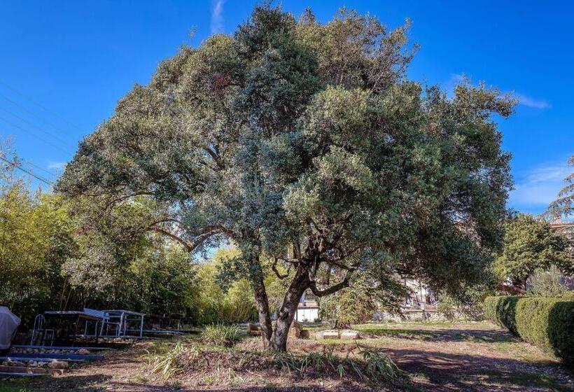 标准间, B&b En Provence Villa Saint Marc