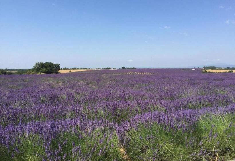 家庭间, B&b En Provence Villa Saint Marc