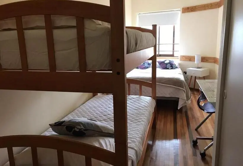 اتاق استاندارد چهار تخته, Hostal My House