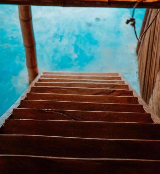 豪华房间, Kasakolà