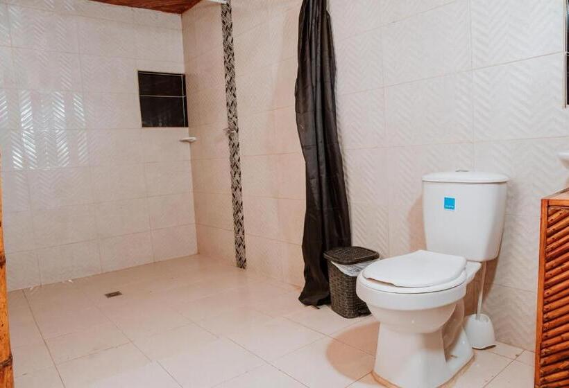 带大床的标准间, Kasakolà