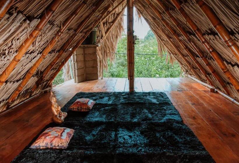 带大床的标准间, Kasakolà