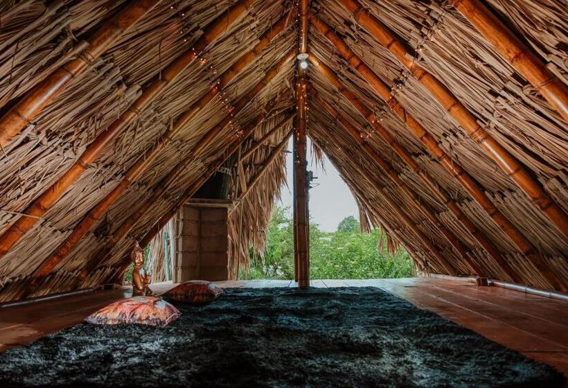 带大床的标准间, Kasakolà