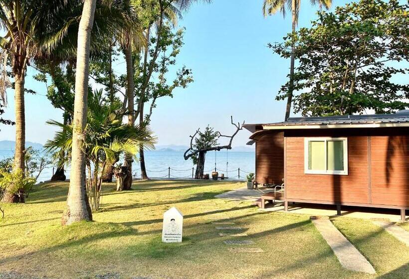 بانگلوی استاندارد, Somphoch Garden