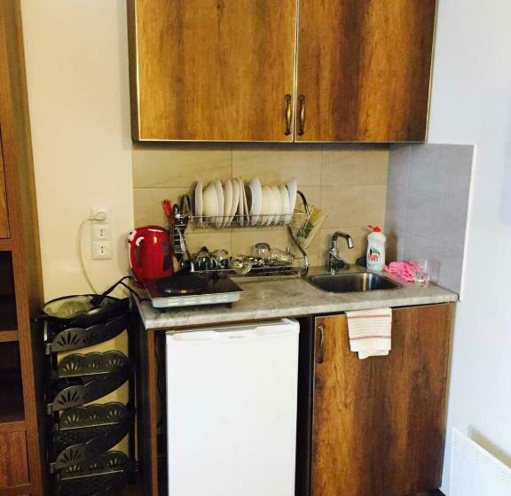 استودیوی استاندارد, Ski Resort Bakuriani