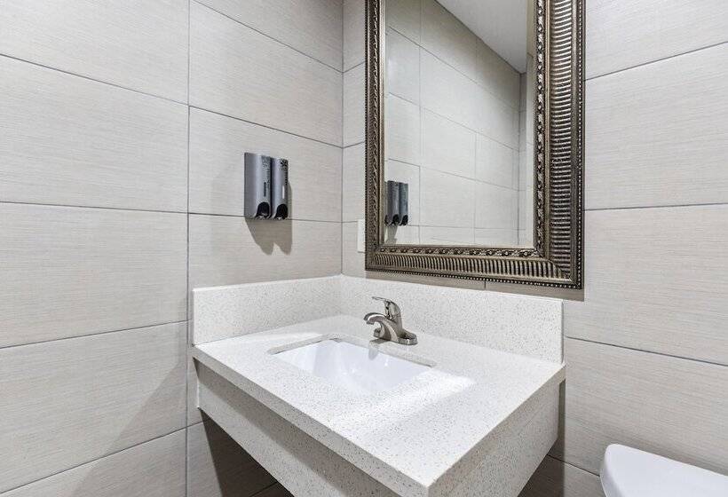 إستوديو ديلوكس, Le Blanc Inn & Suites