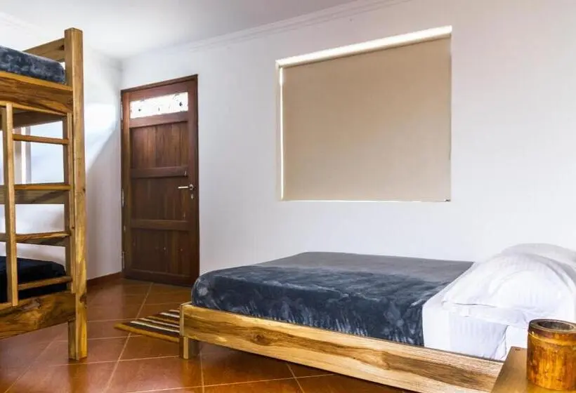 اتاق استاندارد چهارنفره با سرویس بهداشتی مشترک, Nibiru Hostel