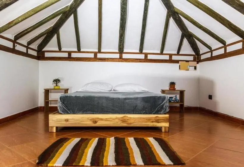اتاق استاندارد با سرویس بهداشتی مشترک, Nibiru Hostel