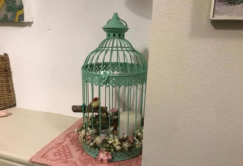 スタンダードルーム, Aria Di Mare