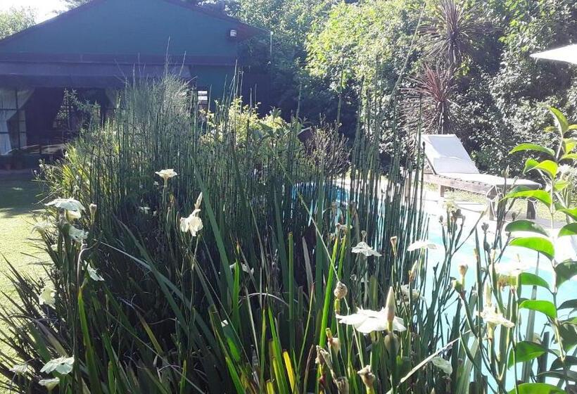 חדר לארבעה סטנדרטי עם נוף לגינה, Loft Verde Que Te Quiero Verde