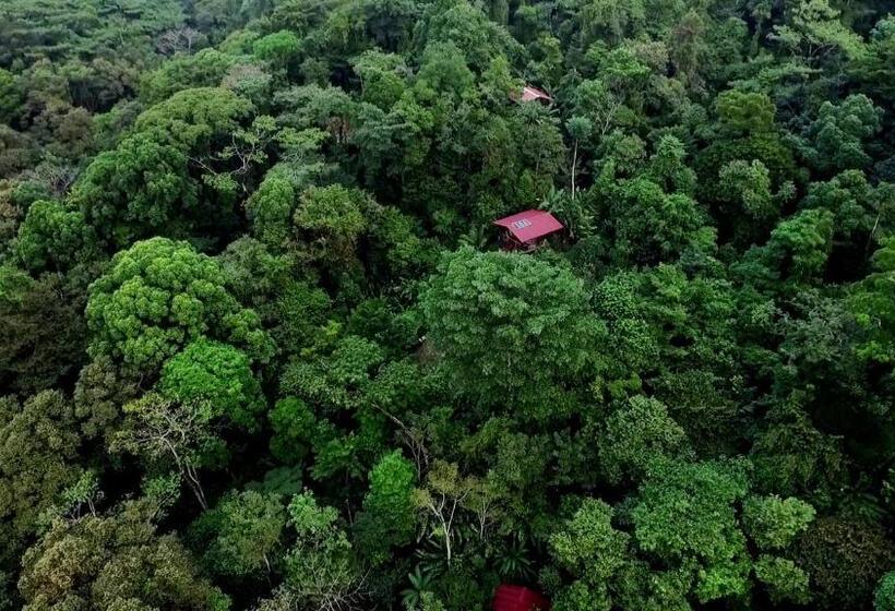 بنجلو قياسى, La Loma Jungle Lodge And Chocolate Farm