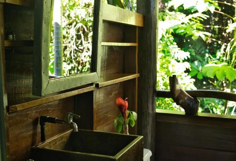 スタンダードバンガロー, La Loma Jungle Lodge And Chocolate Farm