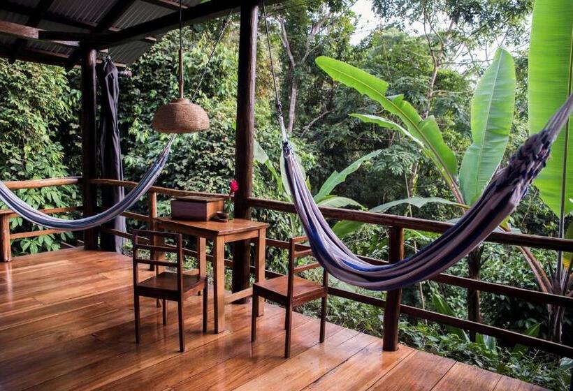 بنجلو قياسى, La Loma Jungle Lodge And Chocolate Farm