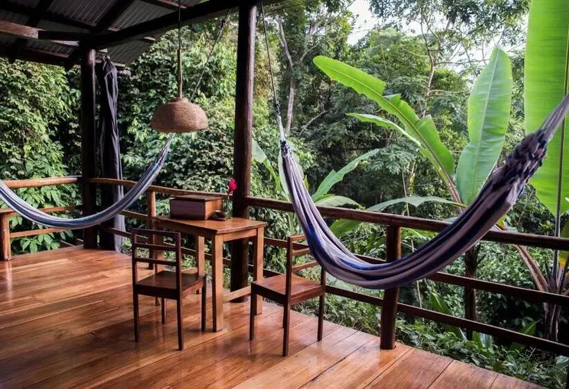 スタンダードバンガロー, La Loma Jungle Lodge And Chocolate Farm