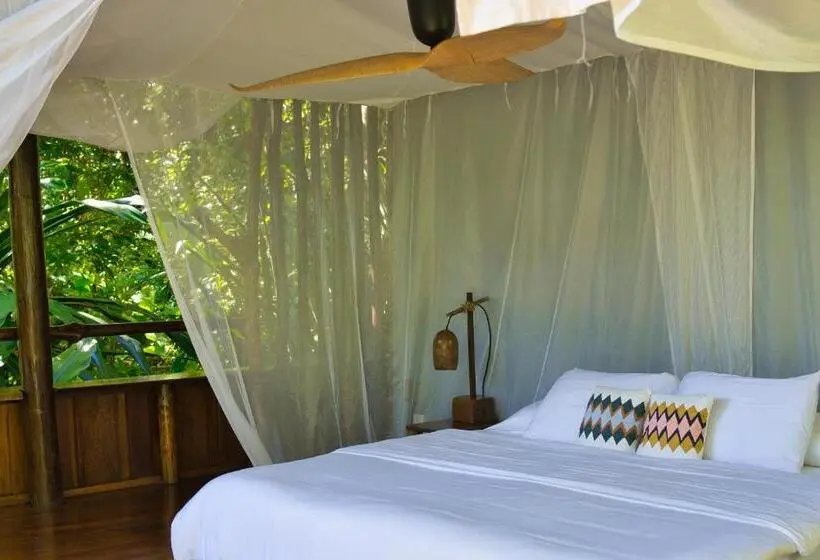 スタンダードバンガロー, La Loma Jungle Lodge And Chocolate Farm