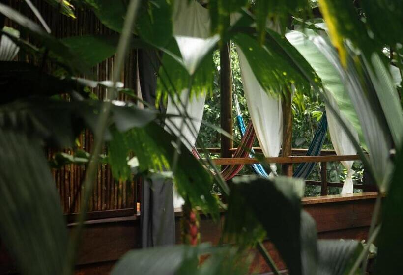 Бунгало Стандарт, La Loma Jungle Lodge And Chocolate Farm