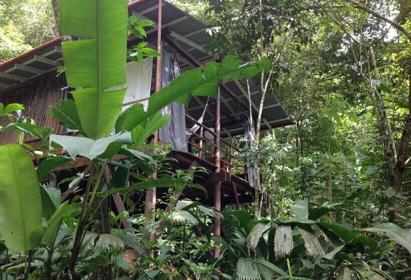 بنجلو قياسى, La Loma Jungle Lodge And Chocolate Farm