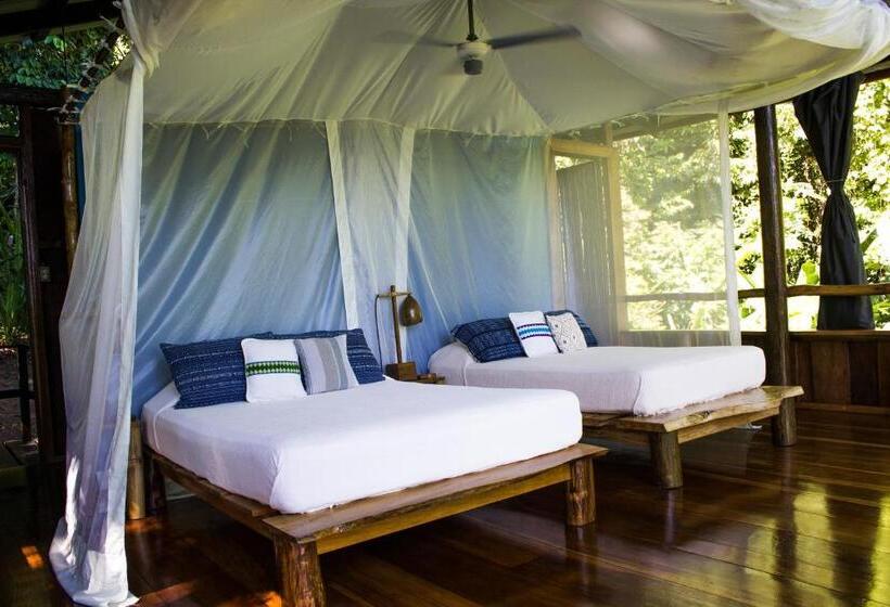 بنجلو قياسى, La Loma Jungle Lodge And Chocolate Farm