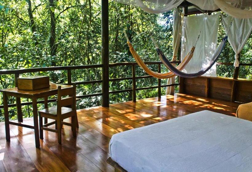 בקתה סטנדרטית, La Loma Jungle Lodge And Chocolate Farm