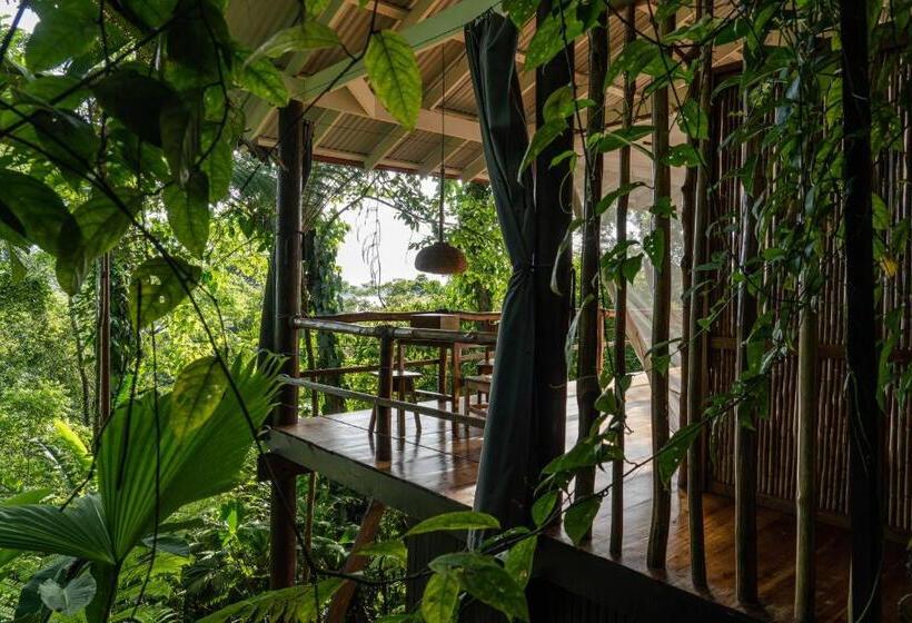 بنجلو عائلى, La Loma Jungle Lodge And Chocolate Farm