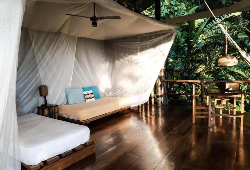 家族用バンガロー, La Loma Jungle Lodge And Chocolate Farm