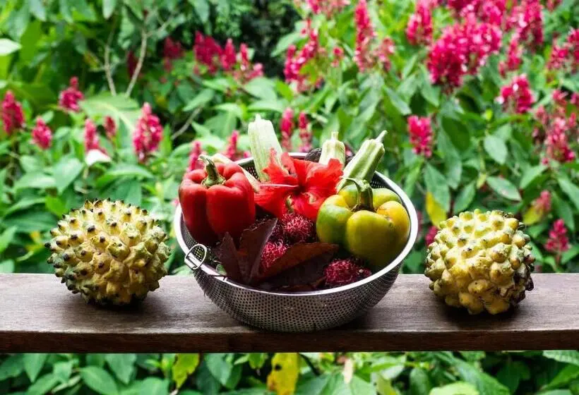 １ベッドルームハウス, La Loma Jungle Lodge And Chocolate Farm