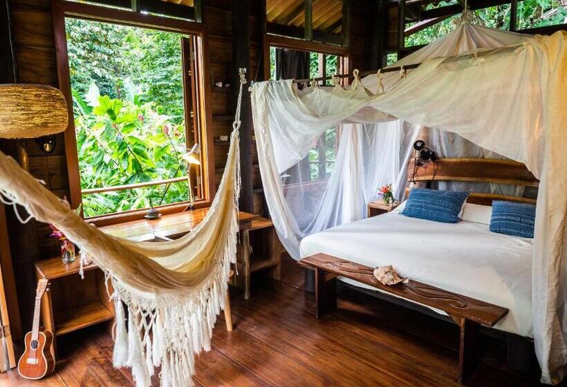 منزل غرفة نوم واحدة, La Loma Jungle Lodge And Chocolate Farm