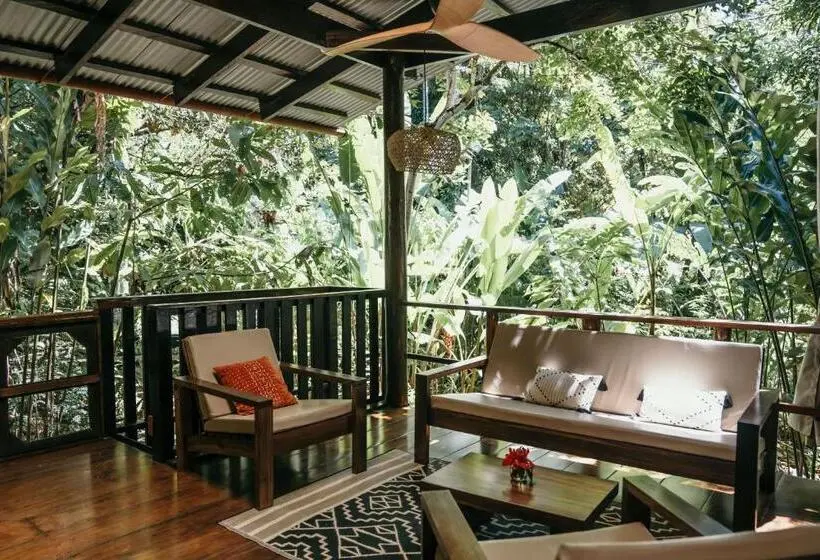 庭の見えるジュニアスイート, La Loma Jungle Lodge And Chocolate Farm