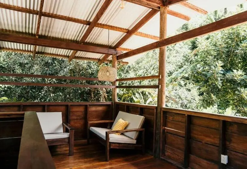 庭の見えるジュニアスイート, La Loma Jungle Lodge And Chocolate Farm