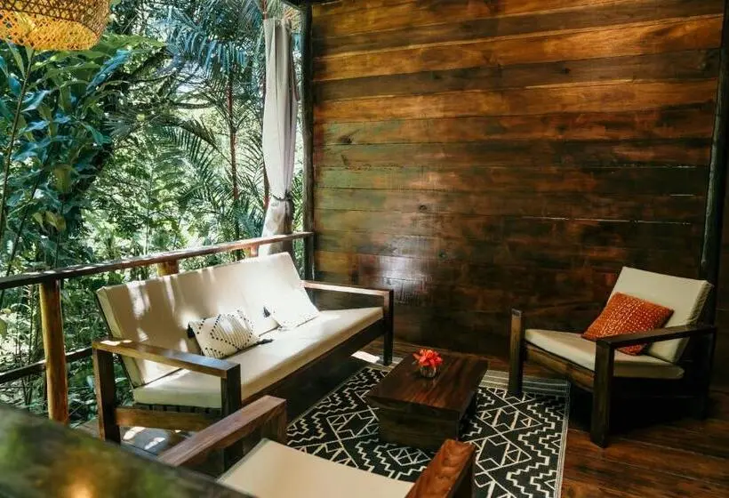 庭の見えるジュニアスイート, La Loma Jungle Lodge And Chocolate Farm