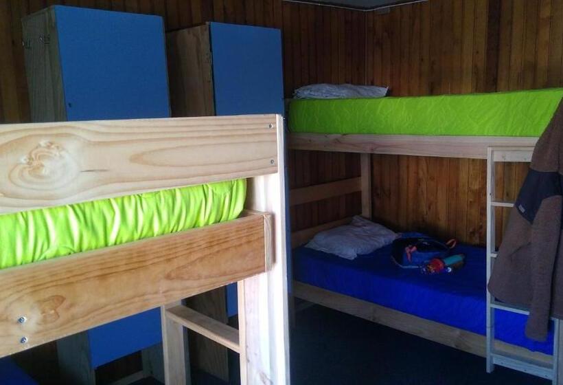 ルームシェアのワンベッド, Islanet Hostel & Bar