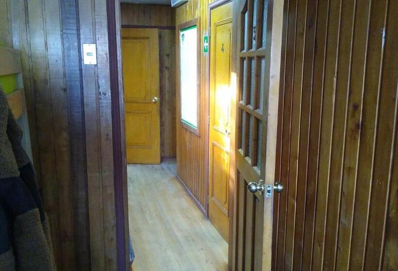 ルームシェアのワンベッド, Islanet Hostel & Bar