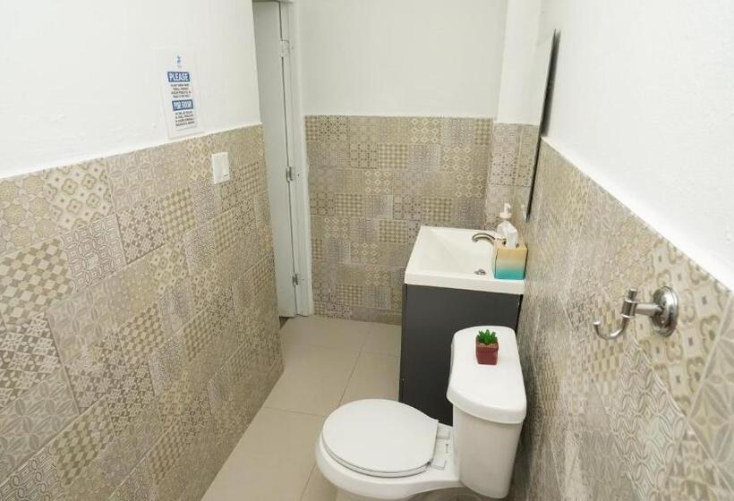 스탠다드 룸 더블 침대 2개, The Pelican Poshtel