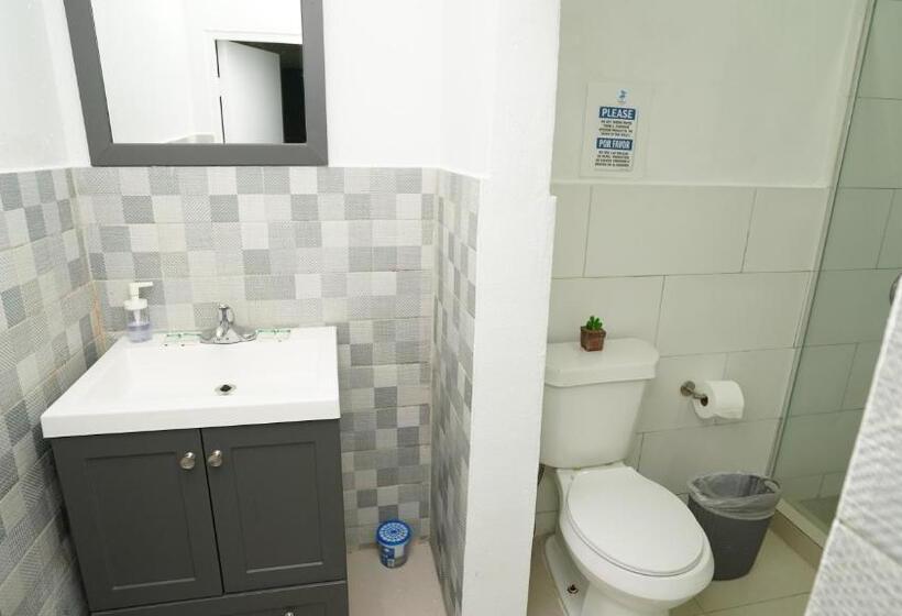 스탠다드 룸 킹사이즈 침대, The Pelican Poshtel