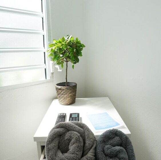 스탠다드 룸, The Pelican Poshtel