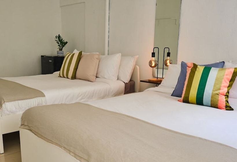 스탠다드 룸 더블 침대 2개, The Pelican Poshtel