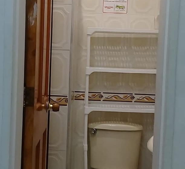 标准三人间, Banana Paradise