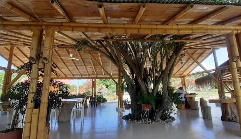 اتاق خانوادگی, San José Tatacoa