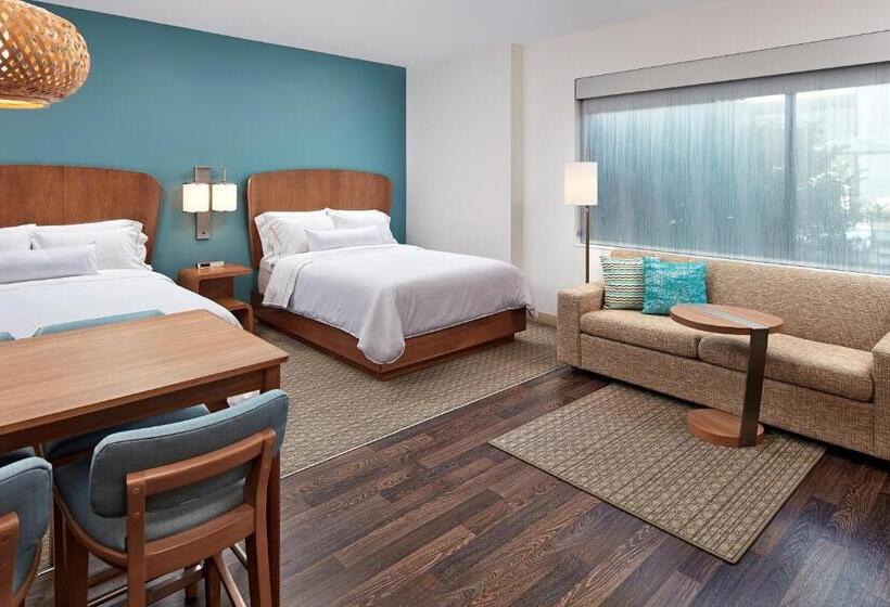 Номер Стандарт, Element Santa Clara