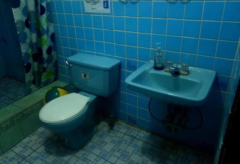 اتاق استاندارد با سرویس بهداشتی مشترک, Casa Guillermo Batz