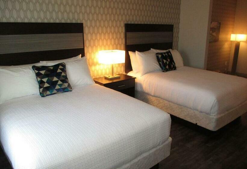 标准间, Best Western Plus Saint Peter