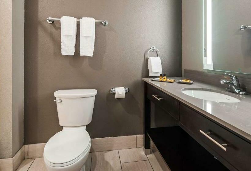 带大床的标准间, Best Western Plus Saint Peter