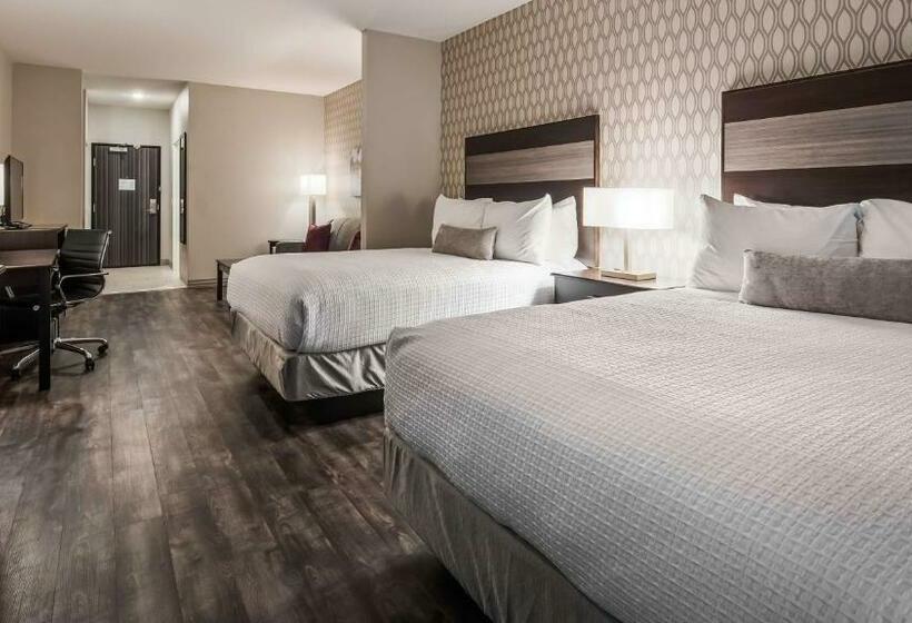 适合残疾人士使用的套间, Best Western Plus Saint Peter