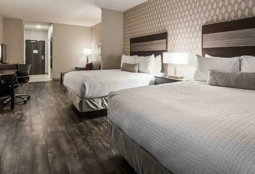 身障者適用スイートルーム, Best Western Plus Saint Peter