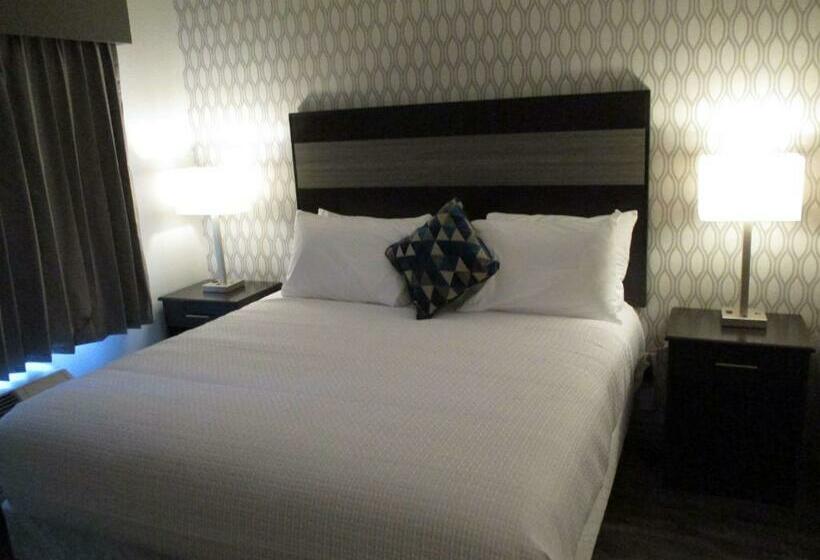 带大床的套房, Best Western Plus Saint Peter